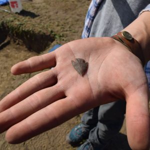 An arrowhead being held in an open palm